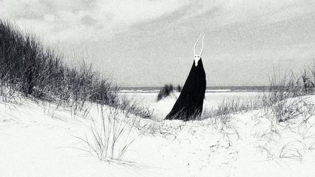 Catalogue / Preserve / Amass