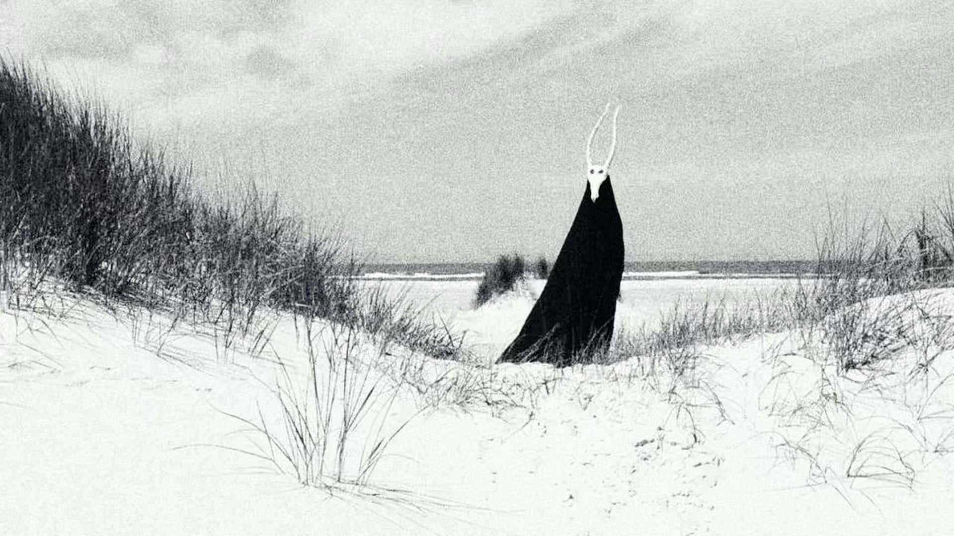 Catalogue / Preserve / Amass