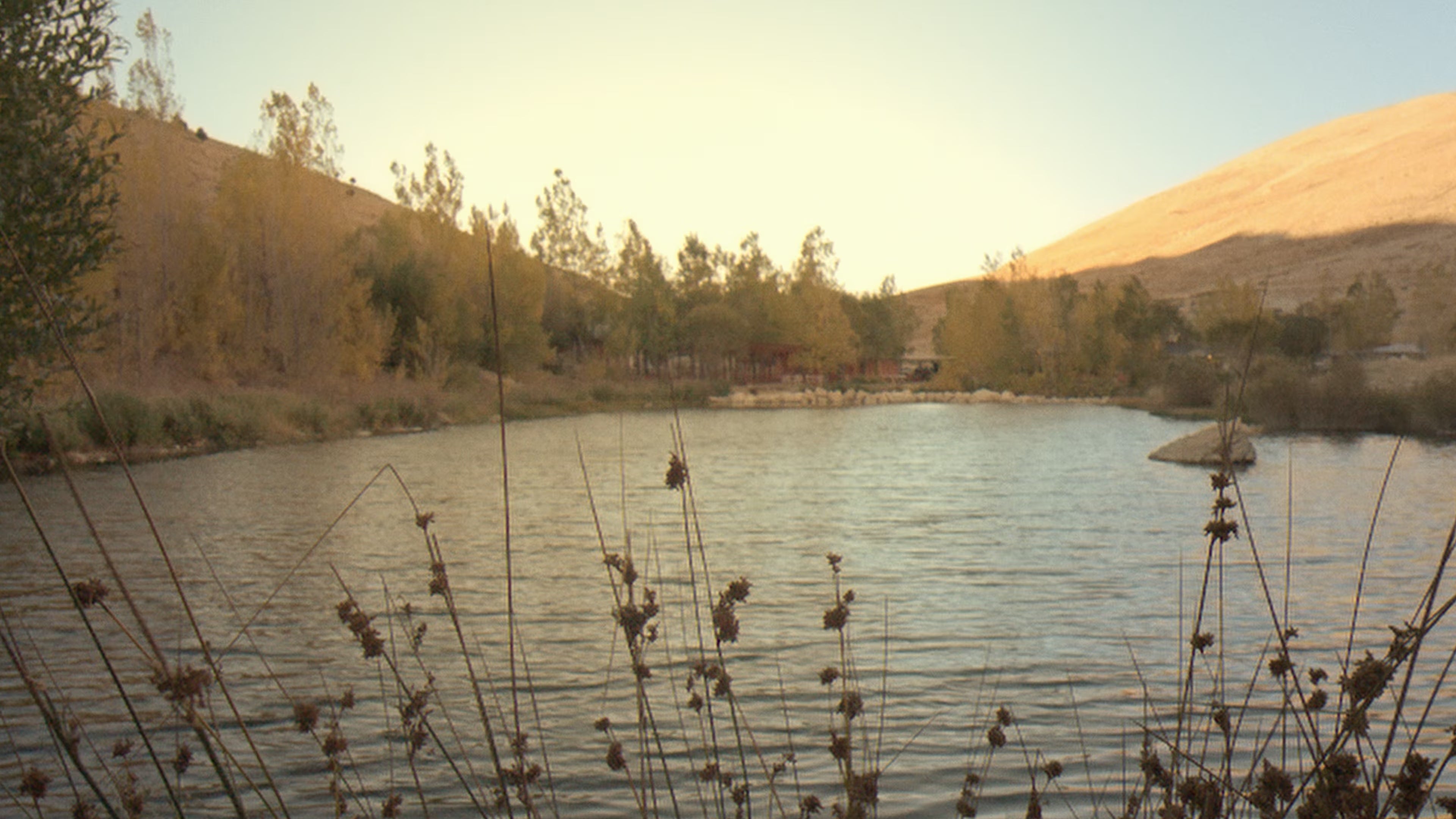 Hand. Cannot. Erase.