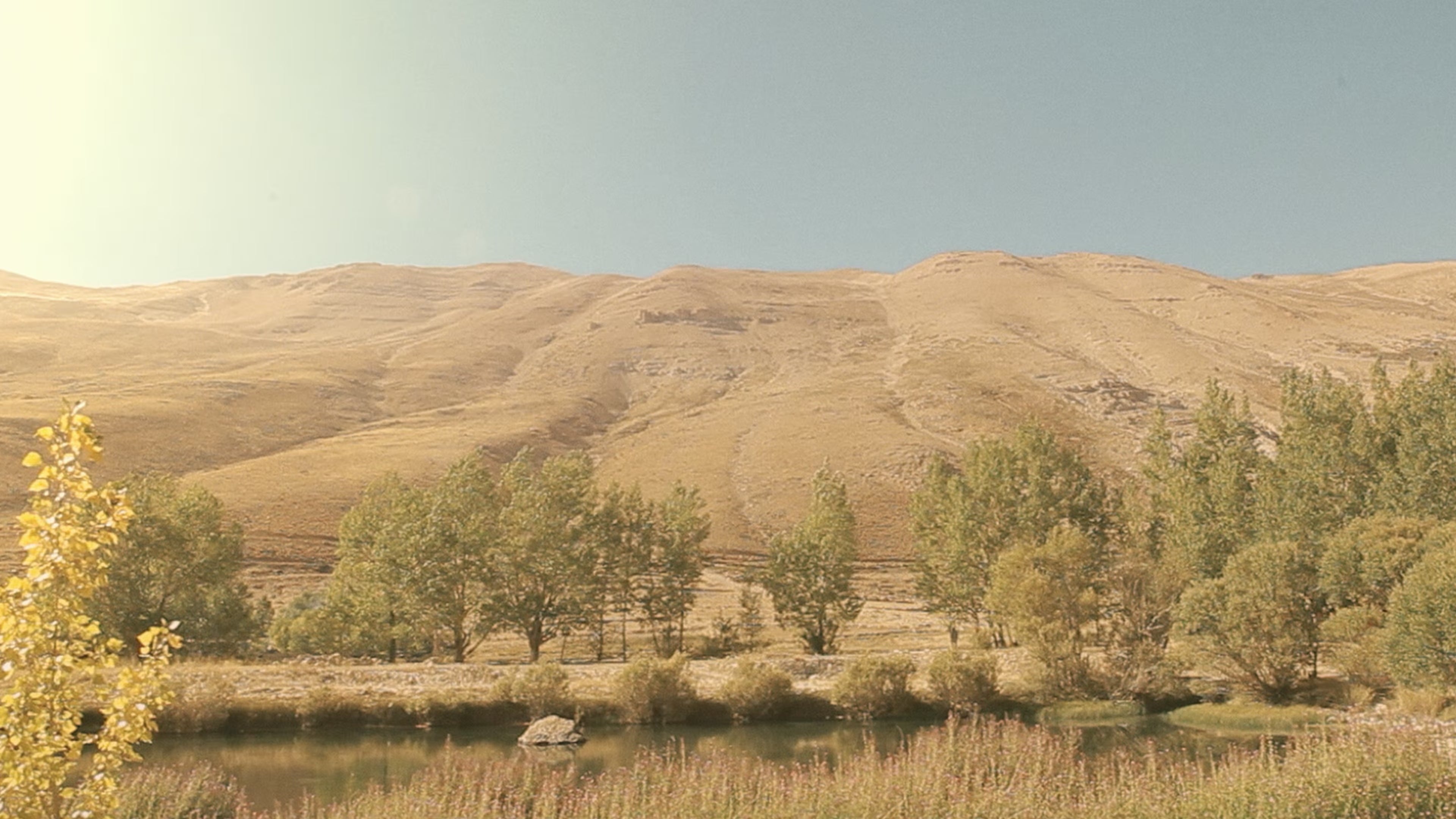 Hand. Cannot. Erase.